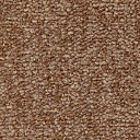 Ковролин Radici Trotter Castoro 2402  | FLOORDEALER